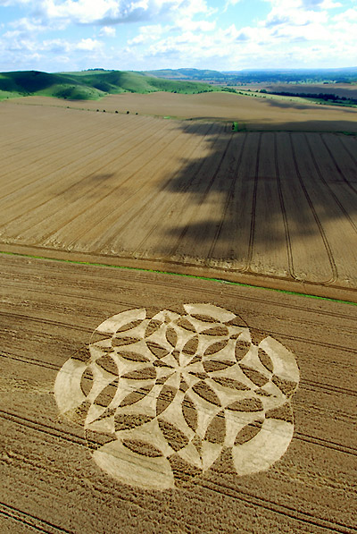 Cannings Cross, Wiltshire crop circle, aerial photo 43