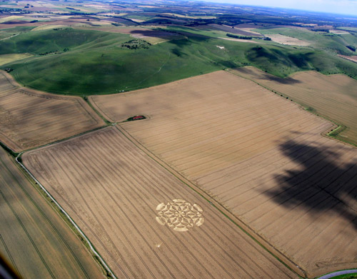 Cannings Cross, Wiltshire crop circle, aerial photo 49