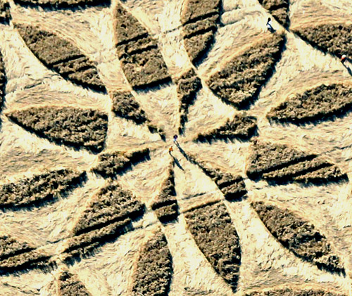 Cannings Cross, Wiltshire crop circle, aerial photo 41