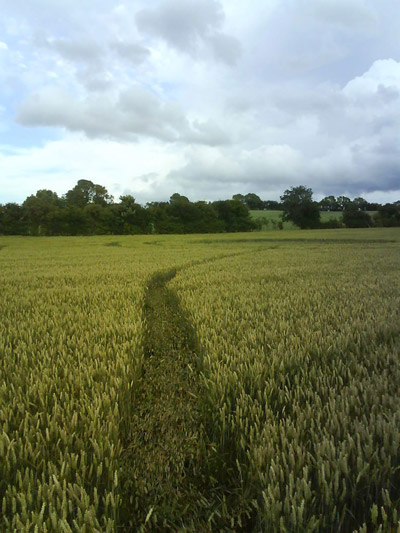 Collingham, West Yorkshire crop circle, aerial photo 8