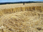 Draycot Foliat, Wiltshire crop circle, aerial photo 14