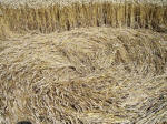 Draycot Foliat, Wiltshire crop circle, aerial photo 13