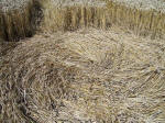 Draycot Foliat, Wiltshire crop circle, aerial photo 12