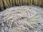 Draycot Foliat, Wiltshire crop circle, aerial photo 10