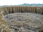 Draycot Foliat, Wiltshire crop circle, aerial photo 9
