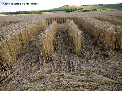 Draycot Foliat, Wiltshire crop circle, aerial photo 6