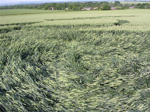 East Field, Wiltshire crop circle, aerial photo 26