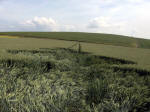 East Field, Wiltshire crop circle, aerial photo 6