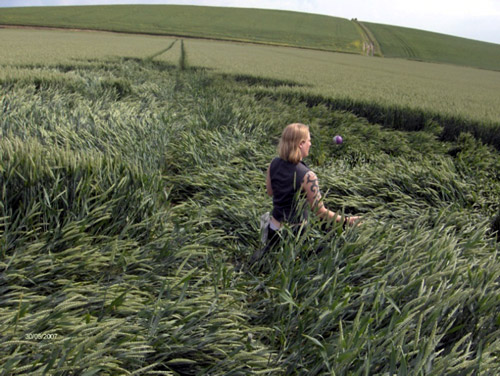 East Field, Wiltshire crop circle, aerial photo 5