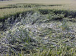 East Field, Wiltshire crop circle, aerial photo 8