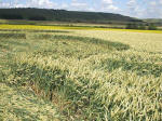 East Field, Wiltshire crop circle, aerial photo 56