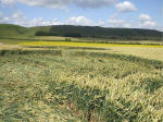 East Field, Wiltshire crop circle, aerial photo 63