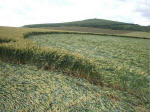 East Field, Wiltshire crop circle, aerial photo 59