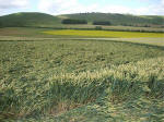 East Field, Wiltshire crop circle, aerial photo 62