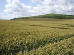East Field, Wiltshire crop circle, aerial photo 55
