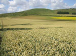 East Field, Wiltshire crop circle, aerial photo 57