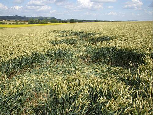 East Field, Wiltshire crop circle, aerial photo 48