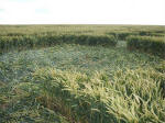 East Field, Wiltshire crop circle, aerial photo 44