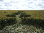 East Field, Wiltshire crop circle, aerial photo 45