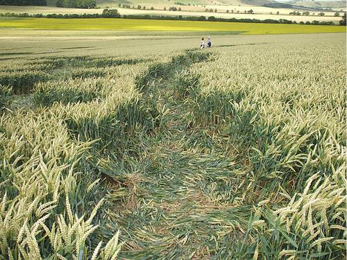 East Field, Wiltshire crop circle, aerial photo 26