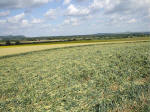 East Field, Wiltshire crop circle, aerial photo 47