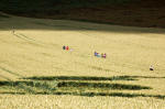 East Field, Wiltshire crop circle, aerial photo 6