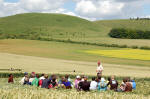 East Field, Wiltshire crop circle, aerial photo 10