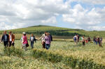 East Field, Wiltshire crop circle, aerial photo 11