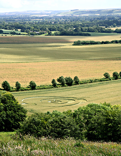 Golden Ball Hill, Wiltshire crop circle, aerial photo 17