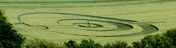 Golden Ball Hill, Wiltshire crop circle, aerial photo 19