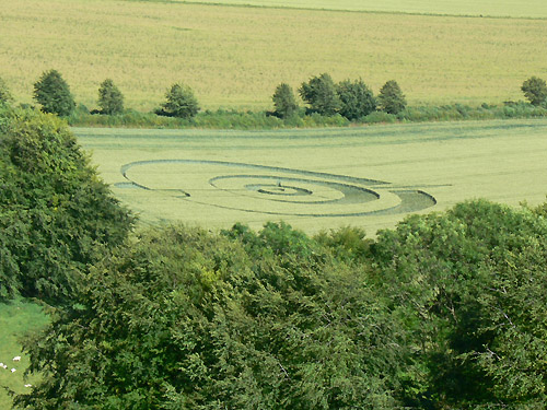 Golden Ball Hill, Wiltshire crop circle, aerial photo 8