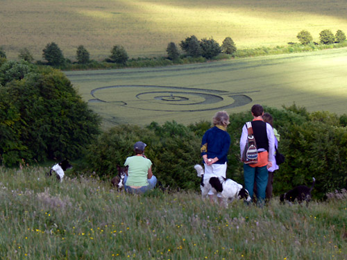 Golden Ball Hill, Wiltshire crop circle, aerial photo 9
