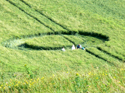 Golden Ball Hill, Wiltshire crop circle, aerial photo 14