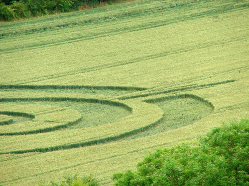 Golden Ball Hill, Wiltshire crop circle, aerial photo 25