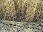 Green Street, Wiltshire crop circle, aerial photo 18