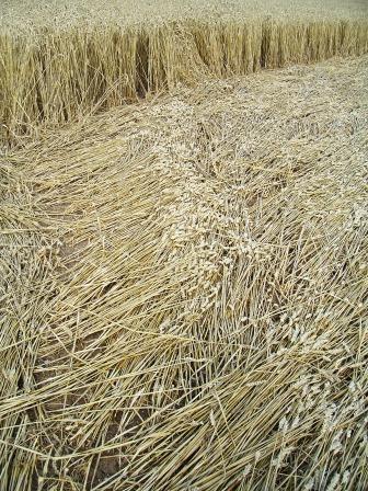Green Street, Wiltshire crop circle, aerial photo 17