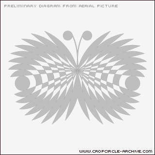 Hailey Wood, Oxfordshire crop circle, aerial photo 9