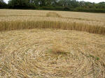 Hat Gate Cottage, Wiltshire crop circle, aerial photo 13