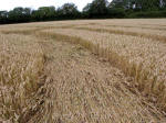 Hat Gate Cottage, Wiltshire crop circle, aerial photo 12