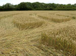 Hat Gate Cottage, Wiltshire crop circle, aerial photo 16