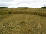 Hat Gate Cottage, Wiltshire crop circle, aerial photo 17