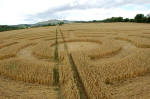 Hat Gate Cottage, Wiltshire crop circle, aerial photo 9