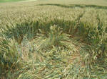 Hinton Downs, Oxfordshire crop circle, aerial photo 19