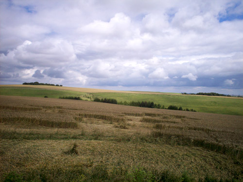 Hinton Downs, Oxfordshire crop circle, aerial photo 27