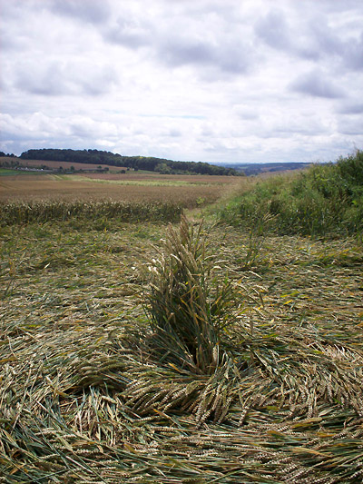 Hinton Downs, Oxfordshire crop circle, aerial photo 28