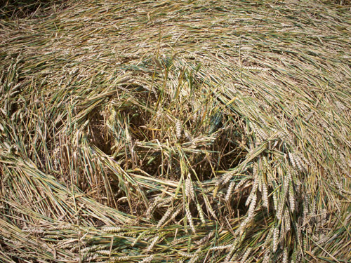 Hinton Downs, Oxfordshire crop circle, aerial photo 30