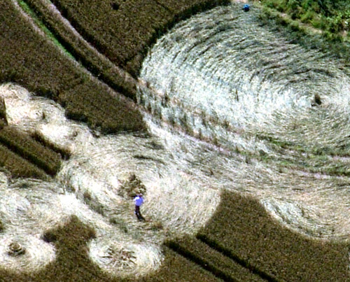 Hinton Downs, Oxfordshire crop circle, aerial photo 26