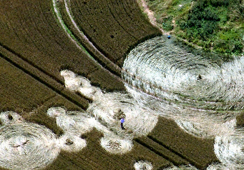 Hinton Downs, Oxfordshire crop circle, aerial photo 25