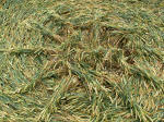 Hinton Downs, Oxfordshire crop circle, aerial photo 10