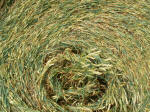 Hinton Downs, Oxfordshire crop circle, aerial photo 11